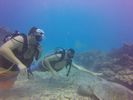 Hawaii Scuba divng 34