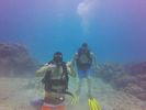 Hawaii Scuba divng 36