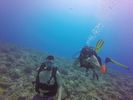 Hawaii Scuba divng 03