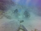 Hawaii Scuba divng 40