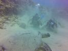 Hawaii Scuba divng 41