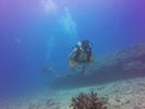 Hawaii Scuba divng 44