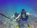 Hawaii Scuba divng 48