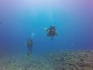 Hawaii Scuba divng 04