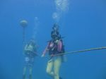 Hawaii Scuba divng 11