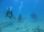 Hawaii Scuba divng 15