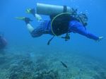 Hawaii Scuba divng 17