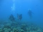 Hawaii Scuba divng 18