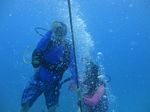 Hawaii Scuba divng 20