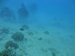 Hawaii Scuba divng 26