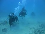 Hawaii Scuba divng 27