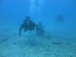 Hawaii Scuba divng 28