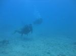 Hawaii Scuba divng 31