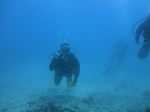 Hawaii Scuba divng 32