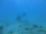 Hawaii Scuba divng 33