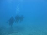 Hawaii Scuba divng 35