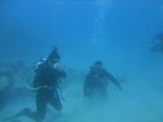 Hawaii Scuba divng 38