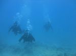 Hawaii Scuba divng 39