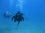 Hawaii Scuba divng 45