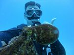 Hawaii Scuba divng 53