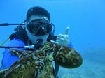 Hawaii Scuba divng 56