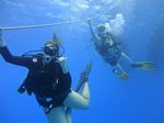 Hawaii Scuba divng 11