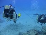 Hawaii Scuba divng 13