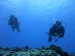 Hawaii Scuba divng 14