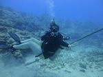 Hawaii Scuba divng 21