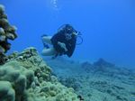 Hawaii Scuba divng 23