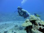 Hawaii Scuba divng 24