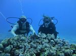 Hawaii Scuba divng 25