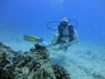 Hawaii Scuba divng 26