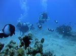 Hawaii Scuba divng 30