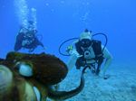 Hawaii Scuba divng 34