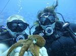 Hawaii Scuba divng 41