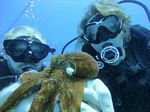 Hawaii Scuba divng 42