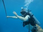 Hawaii Scuba divng 54