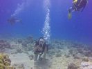 Hawaii Scuba divng 10