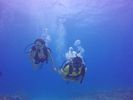 Hawaii Scuba divng 12