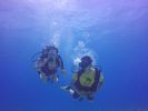 Hawaii Scuba divng 13