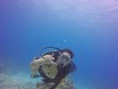 Hawaii Scuba divng 16