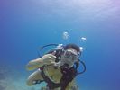 Hawaii Scuba divng 17