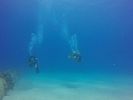 Hawaii Scuba divng 19