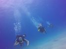 Hawaii Scuba divng 20