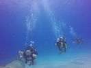 Hawaii Scuba divng 21