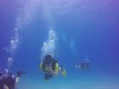 Hawaii Scuba divng 22