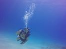 Hawaii Scuba divng 23