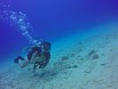 Hawaii Scuba divng 33