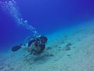 Hawaii Scuba divng 34